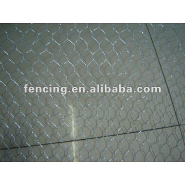 Gal. Hexagonal Wire Netting (factory)